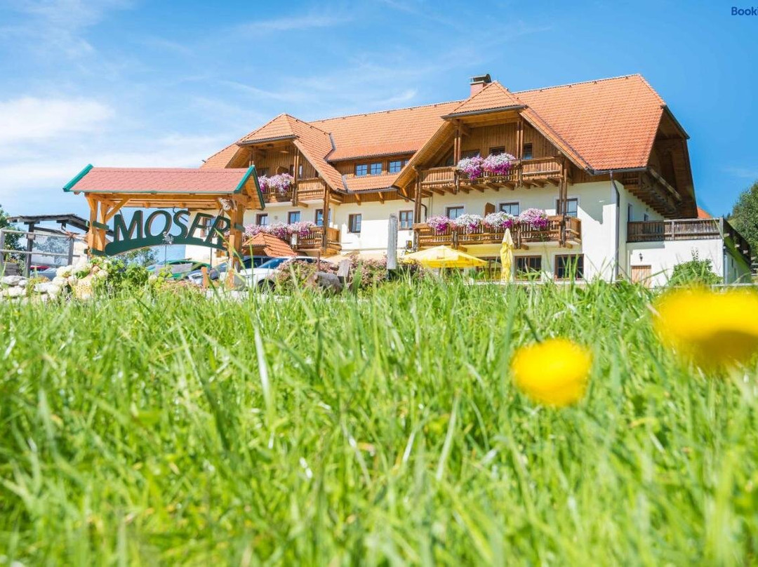 Alpengasthof Moser主图