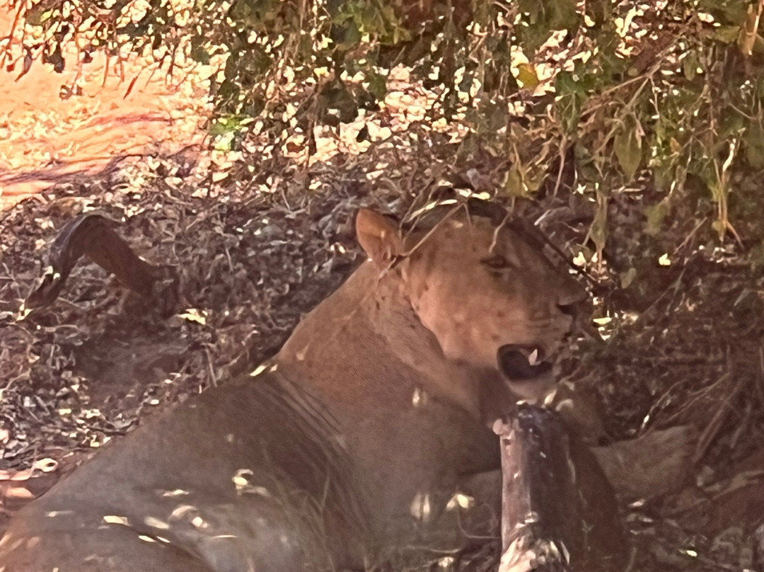 Around Holiday Adventure-查佛必去景点