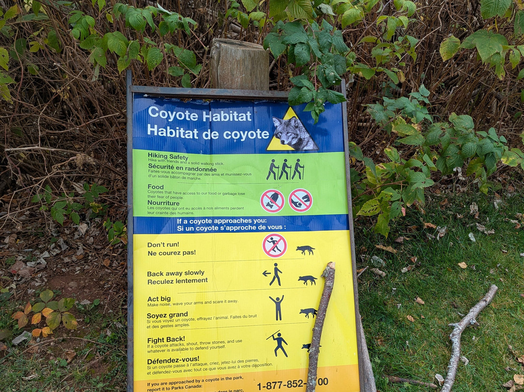 Cavendish Cliffs-卡文迪西必去景点