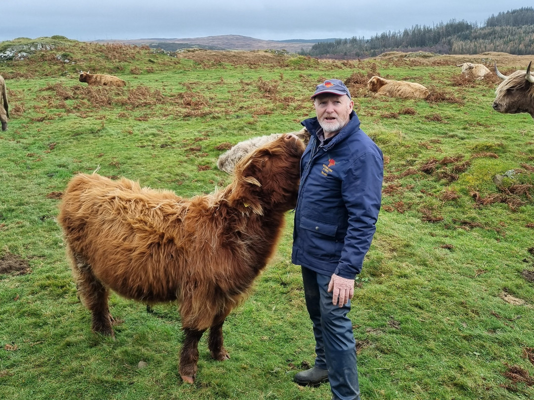 Kitchen Coos & Ewes-New Luce必去景点