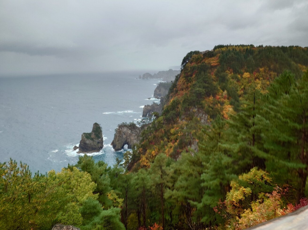 Kitayama Cape-田野畑村必去景点