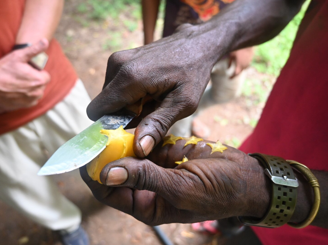 Bwa Mzee Spice Farm-基万嘎必去景点