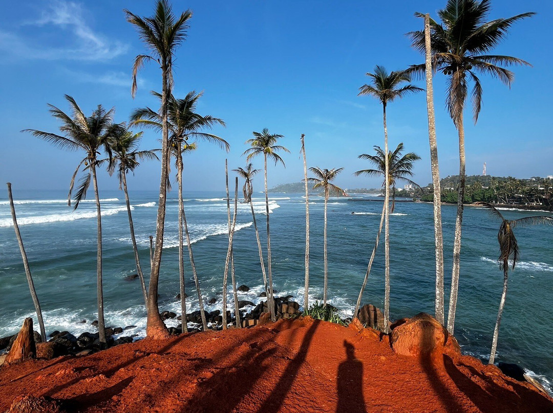 My Driver Sri Lanka-卡图纳耶克必去景点