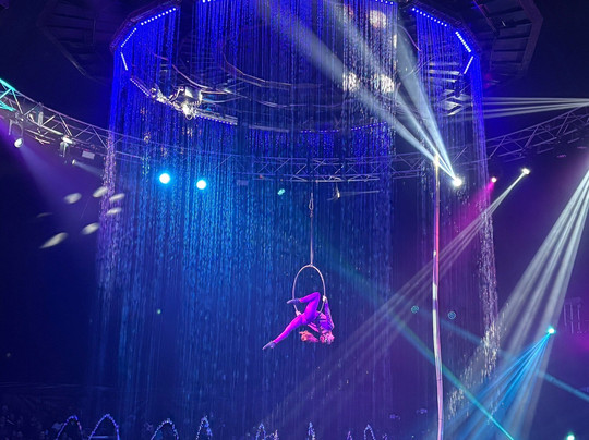 Cirque Italia-萨拉索塔必去景点