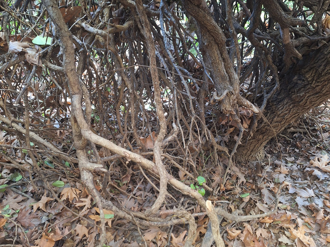 Centaurs' Path-沃洛斯必去景点