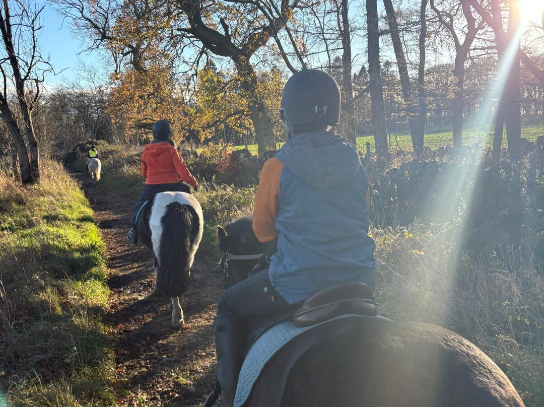 Barbarafield Riding School-库珀必去景点