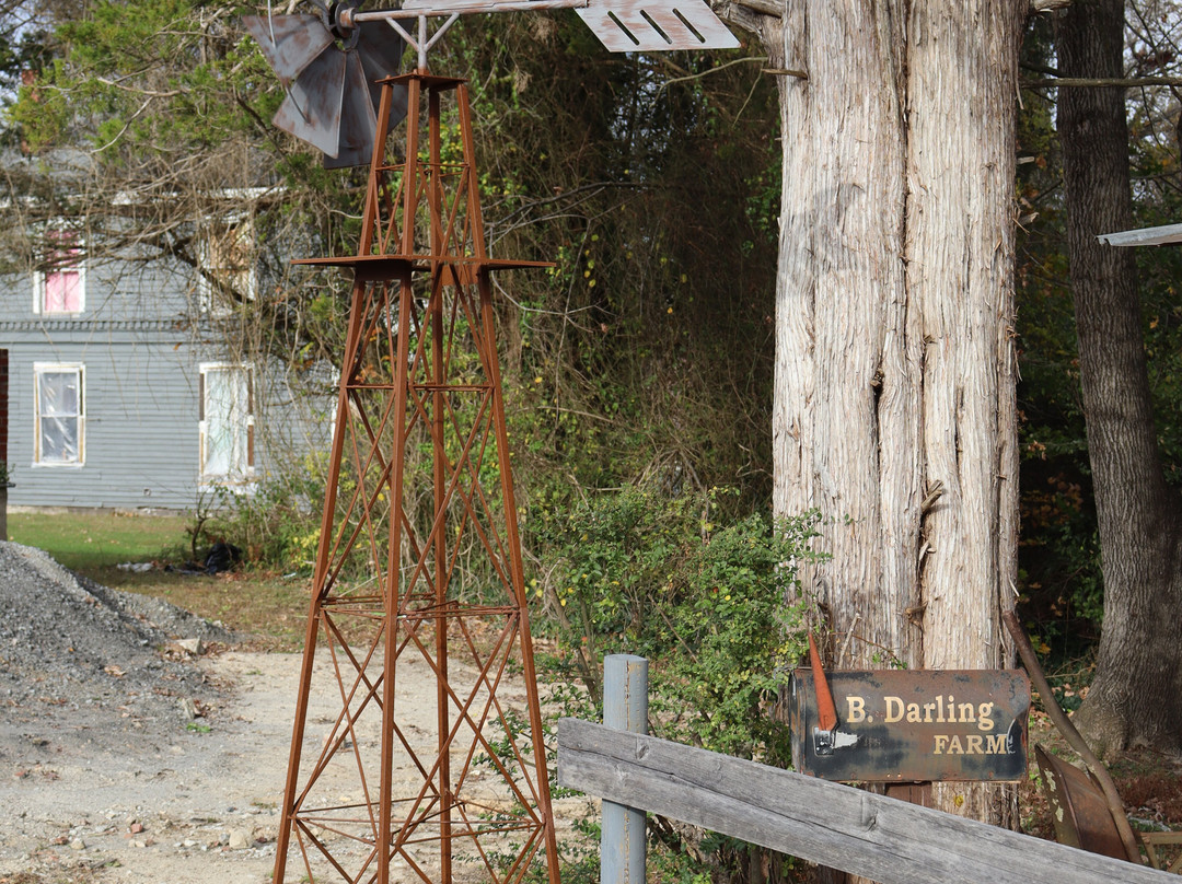 Mayberry Squad Car Tours-Mount Airy必去景点