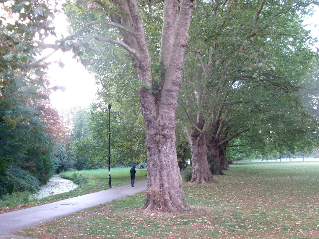 Jesus Green-剑桥必去景点