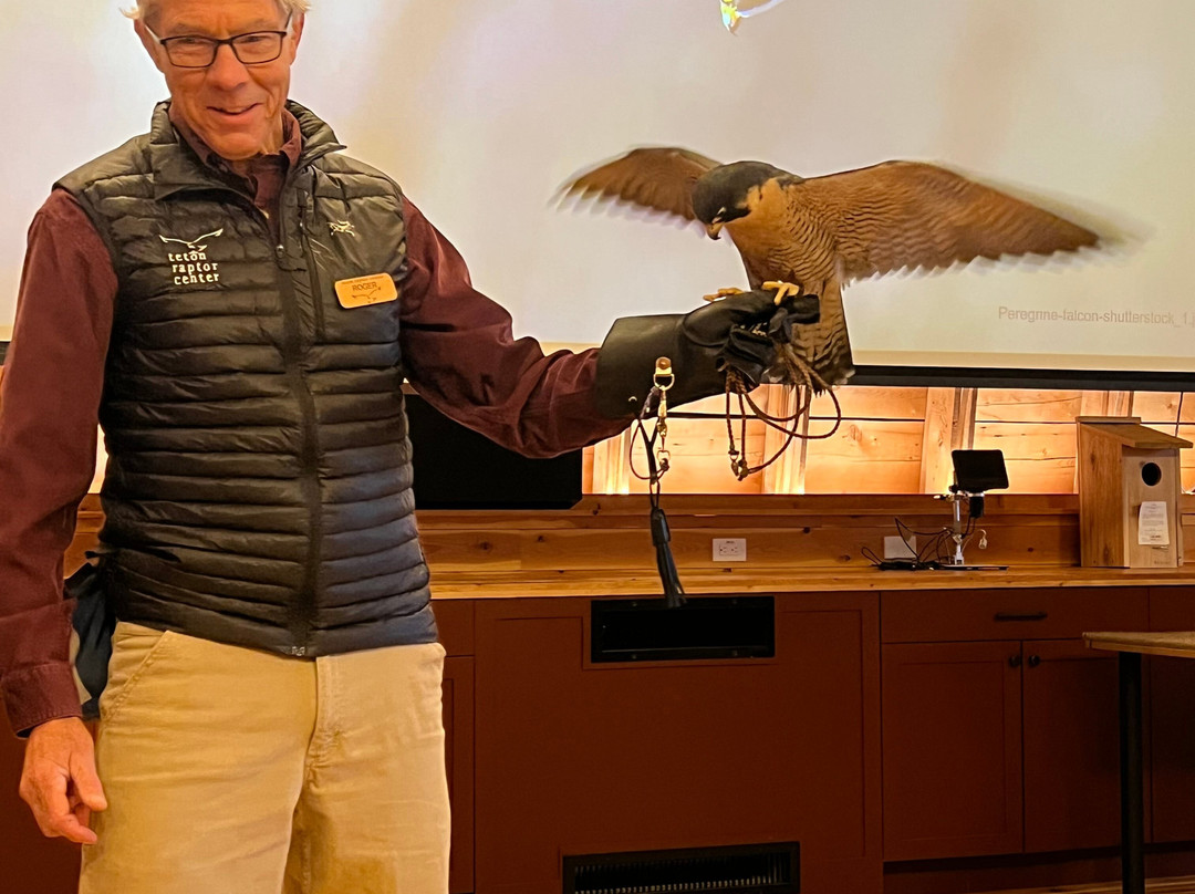 Teton Raptor Center-威尔逊必去景点