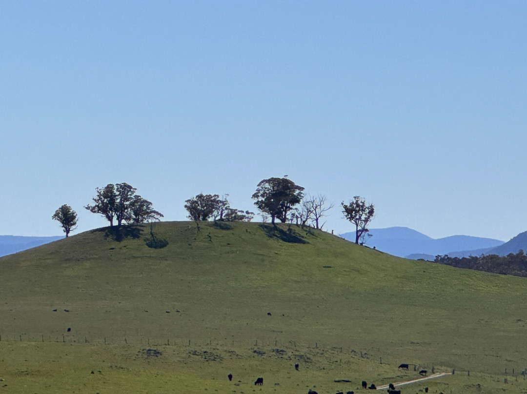 Snowy River Cycling Rail Trail Tours-Orbost必去景点
