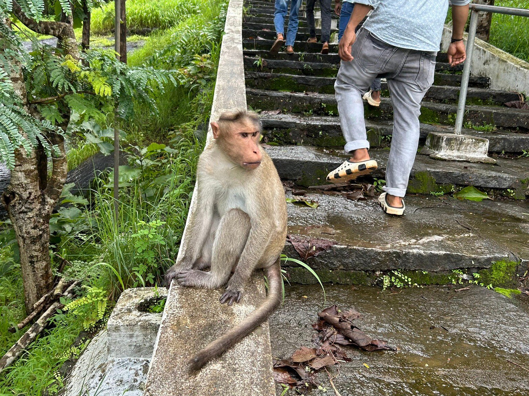 Sri Karinjeshwara Temple-Bantwal必去景点