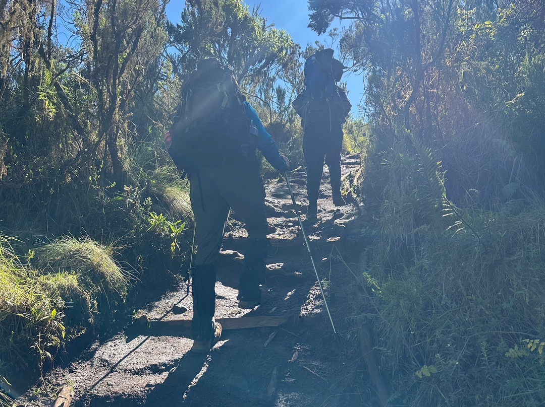 Mar Tour & Sandsafaris-乞力马扎罗山国家公园必去景点