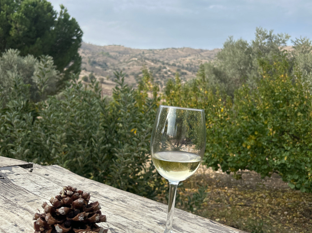 Argonaftis Tours - Kelokedara Donkey Farm-帕福斯必去景点