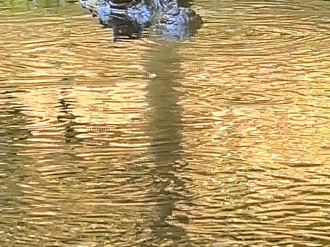 Zoo De Guadeloupe Au Parc Des Mamelles-Bouillante必去景点