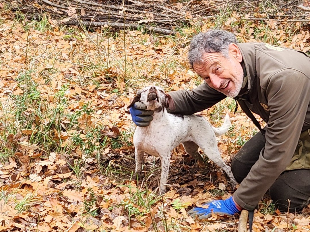 Podere Il Casale-皮恩扎必去景点