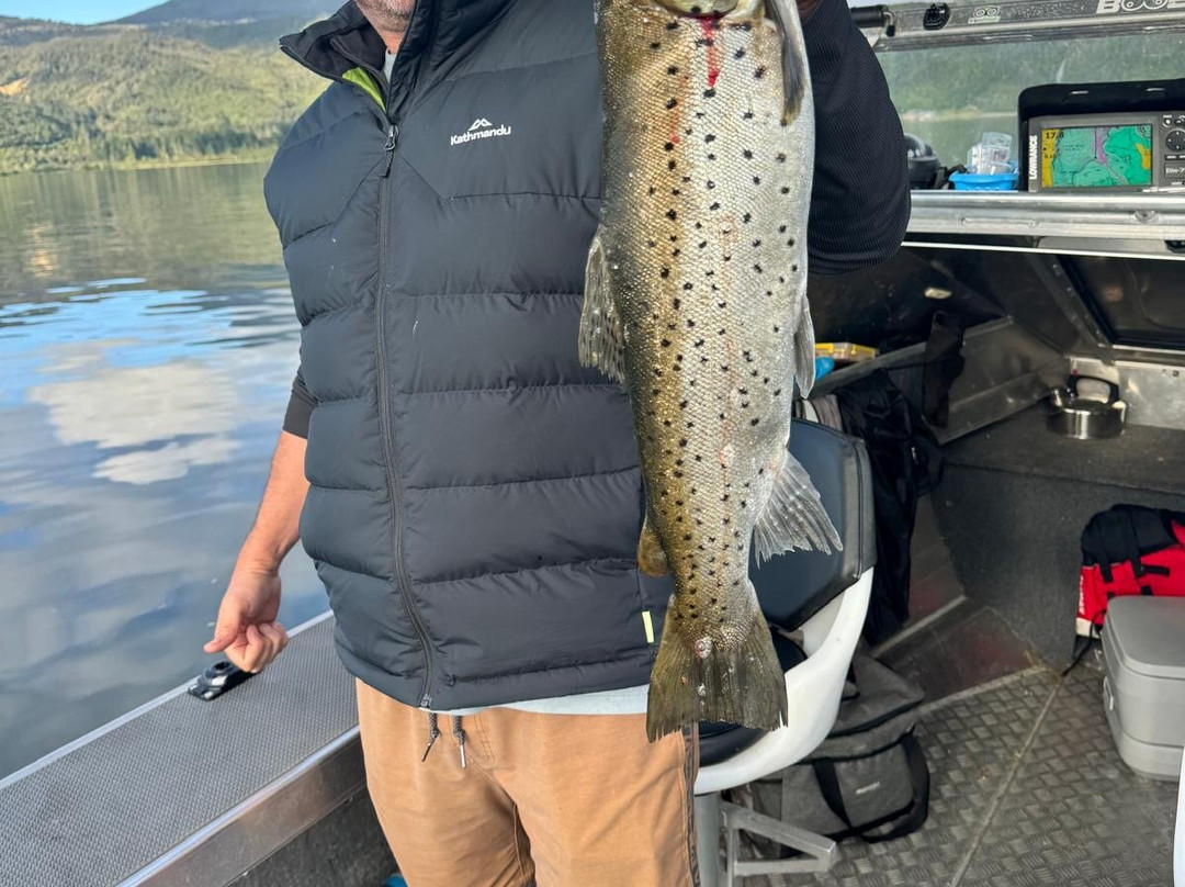 Whiskery Mike's Turangi Trout Connection-图朗伊必去景点