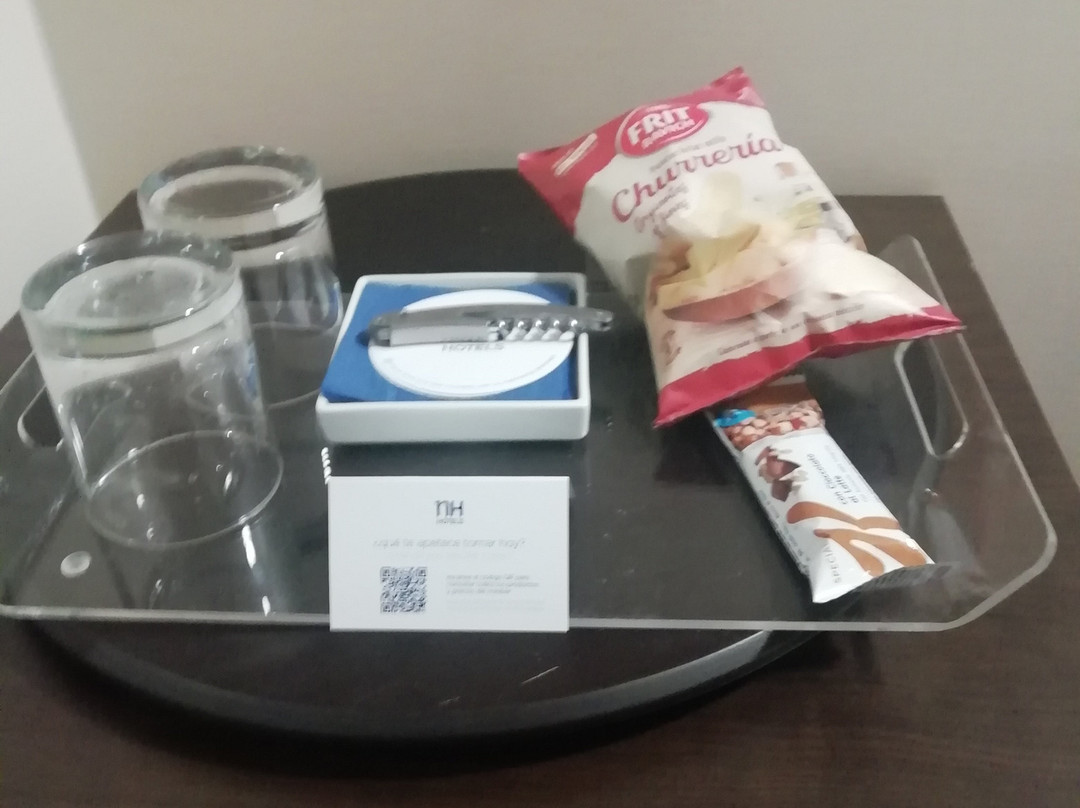 瓦拉多利巴拉格NH酒店主图