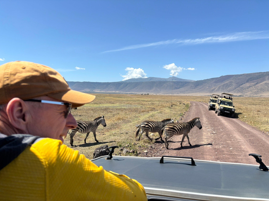 WildReality Safari-Dar es Salaam必去景点