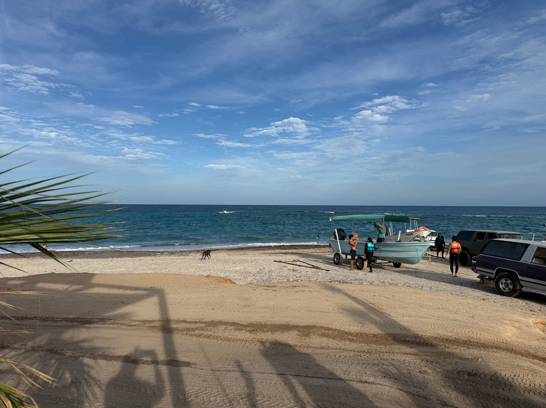 Cabo Pulmo Adventures-Cabo Pulmo必去景点