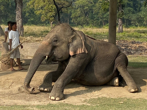 Himalayan Leisure, Inc.-加德满都必去景点