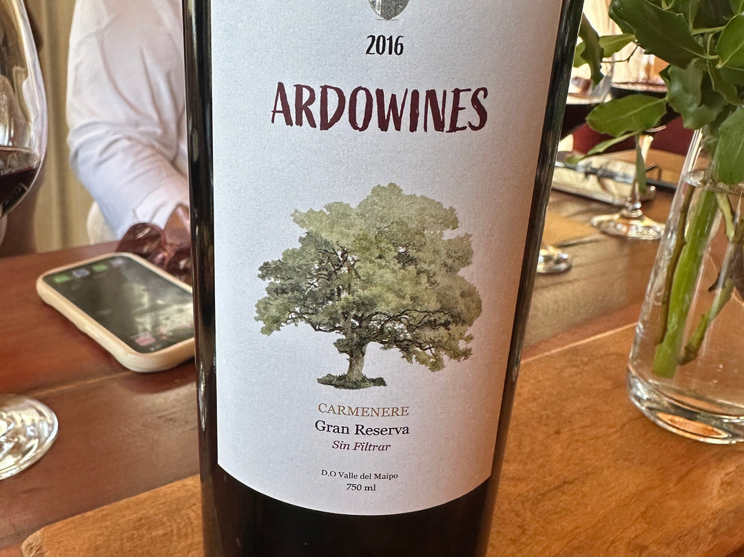 Campo La Quirinca-Isla de Maipo必去景点