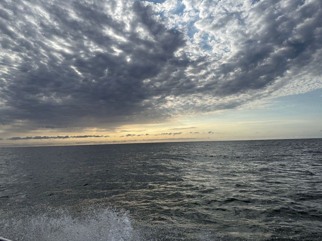 Maverick Fishing Charters-圣露西亚必去景点