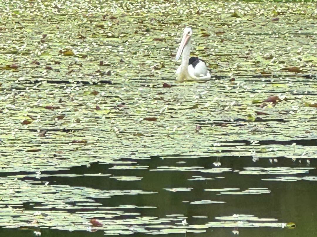 Tygum Lagoon and Park-Waterford West必去景点