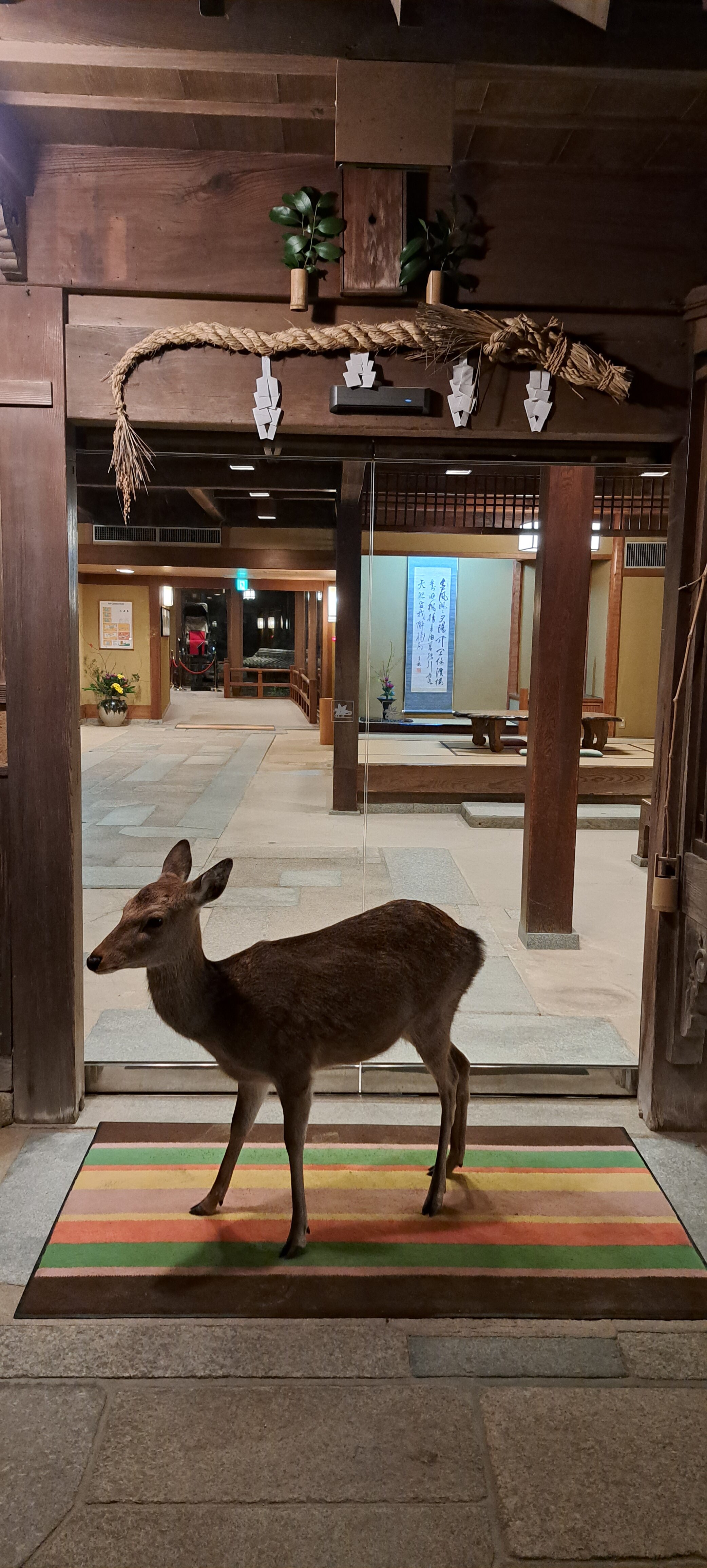 宫岛町之宿 岩惣日式旅馆-官方