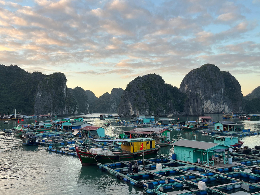 Aroma Viet Nam Travel-Cat Ba Town必去景点