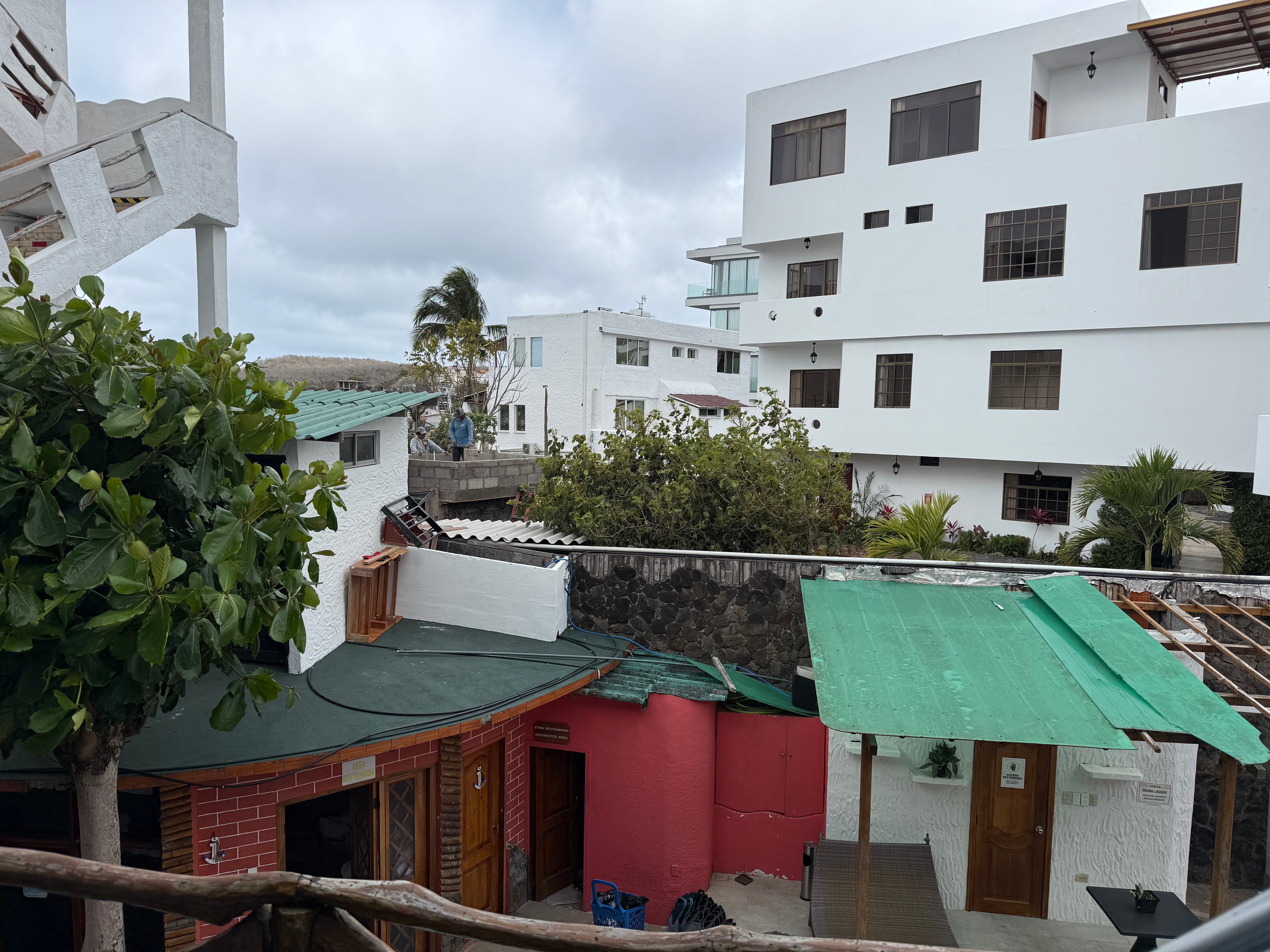 Hotel Miconia-客卧