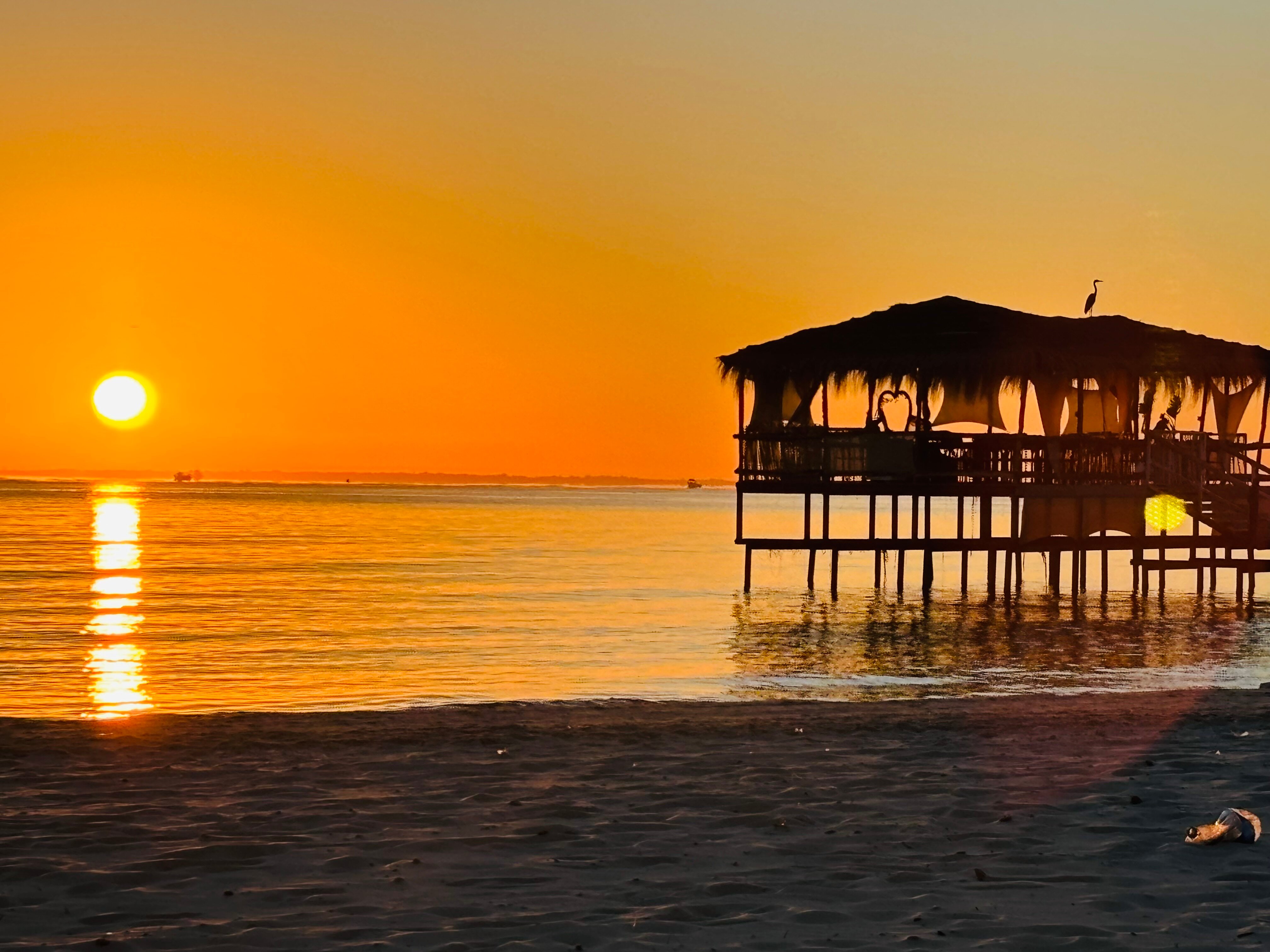 TUI Blue Scheherazade-官方