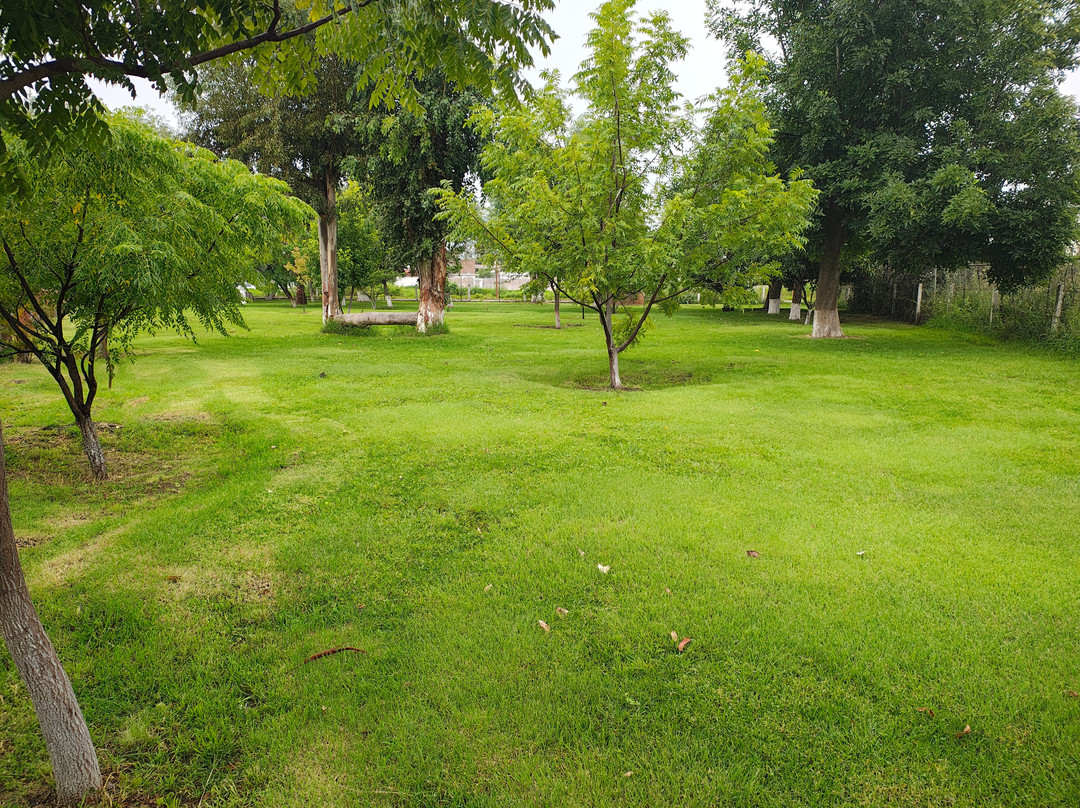 Balneario La Bombita