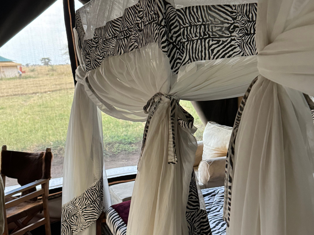 Julius Solomon Safari Guide-Ngorongoro必去景点