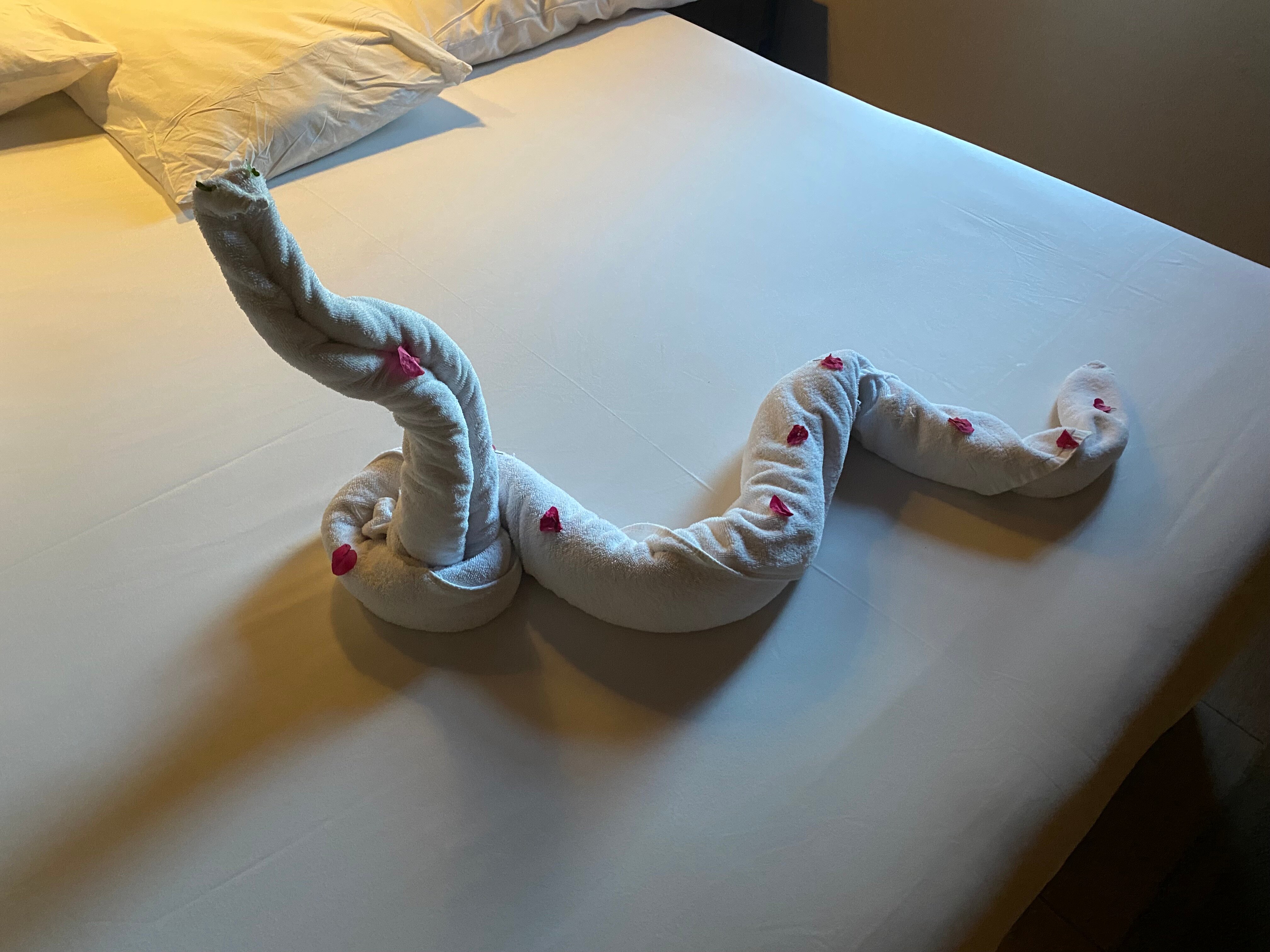 JAZ Makadi Saraya Resort-官方