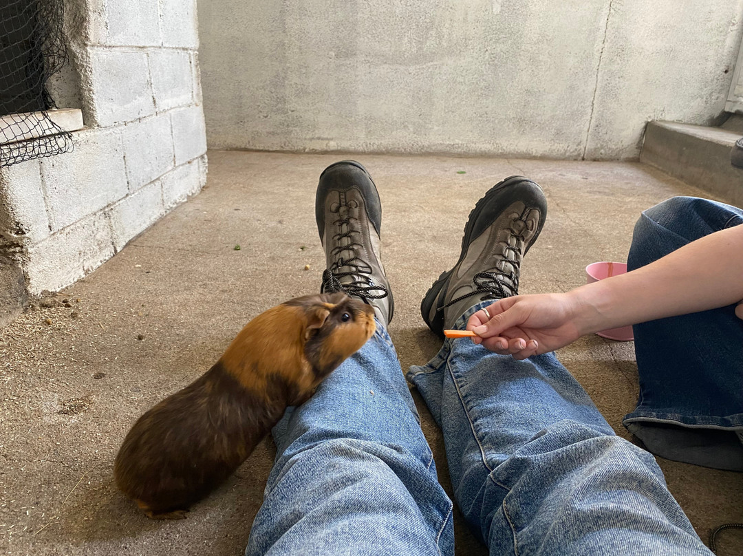 Scoops Farm-玛格丽特河必去景点