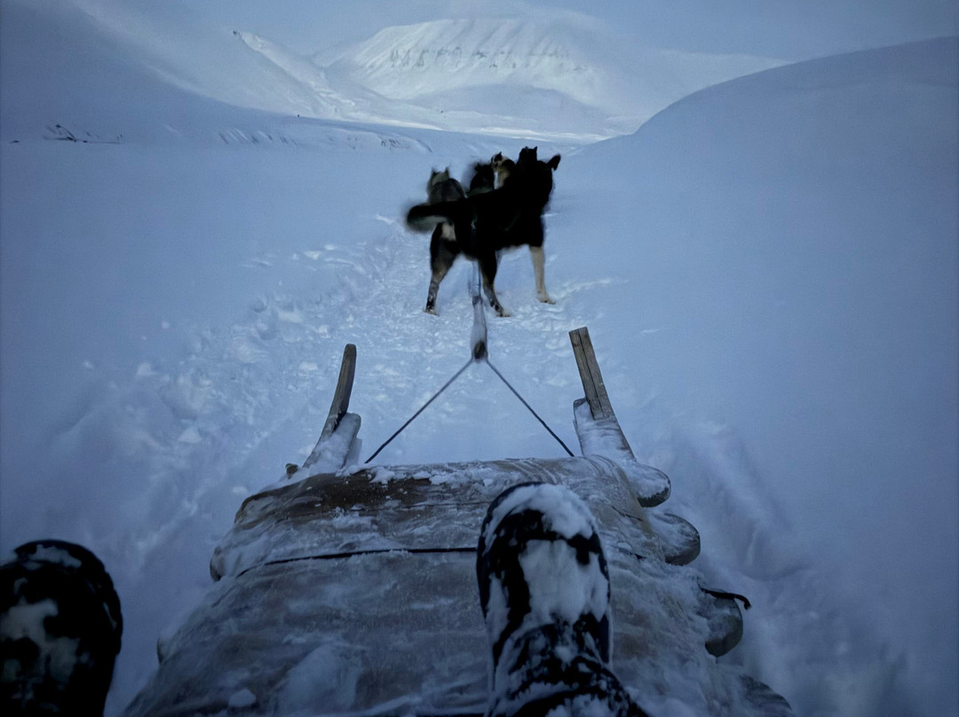 Green Dog Svalbard-朗伊尔城必去景点