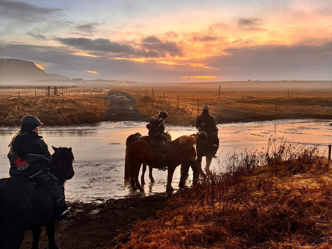 Eldhestar Volcano Horses-Olfus必去景点