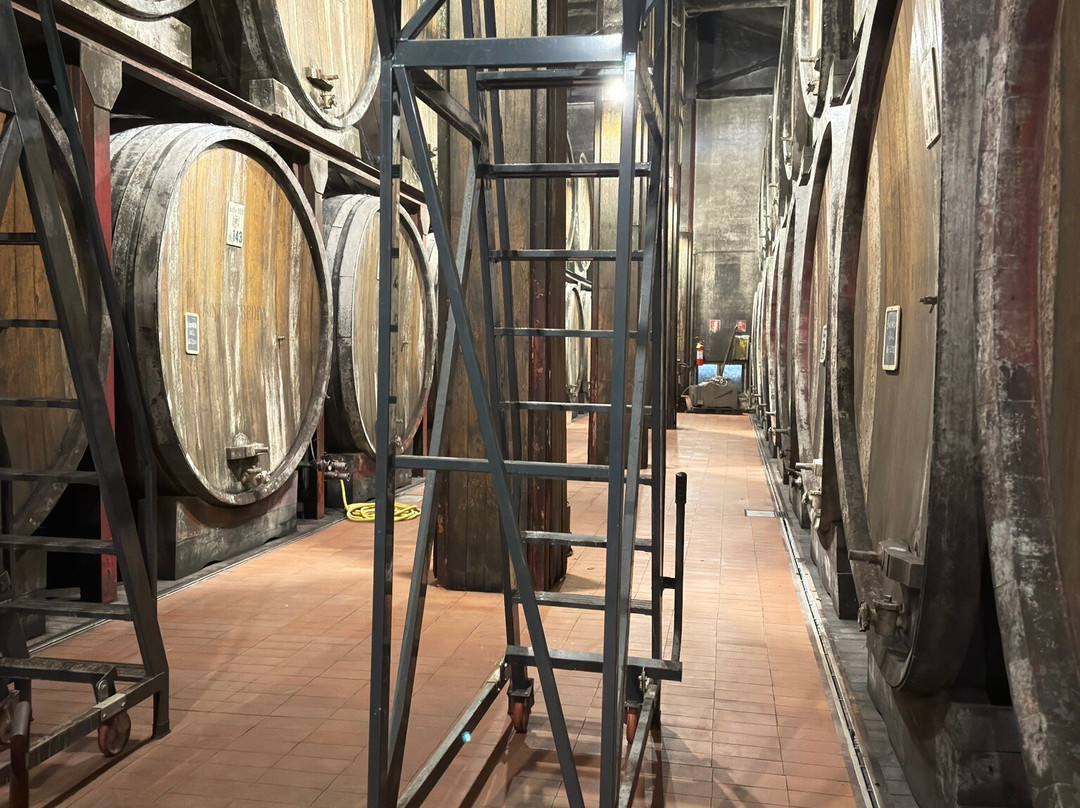 Fontanafredda-塞拉伦加达尔巴必去景点