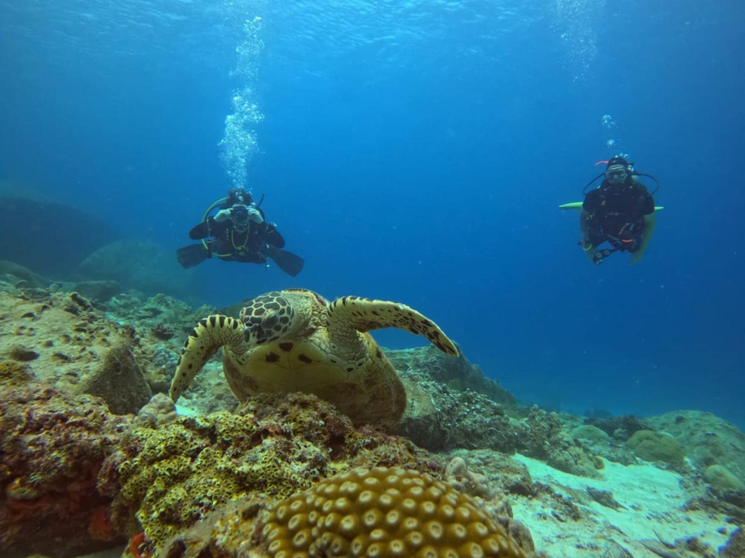 夏基潜水中心-卡伦必去景点