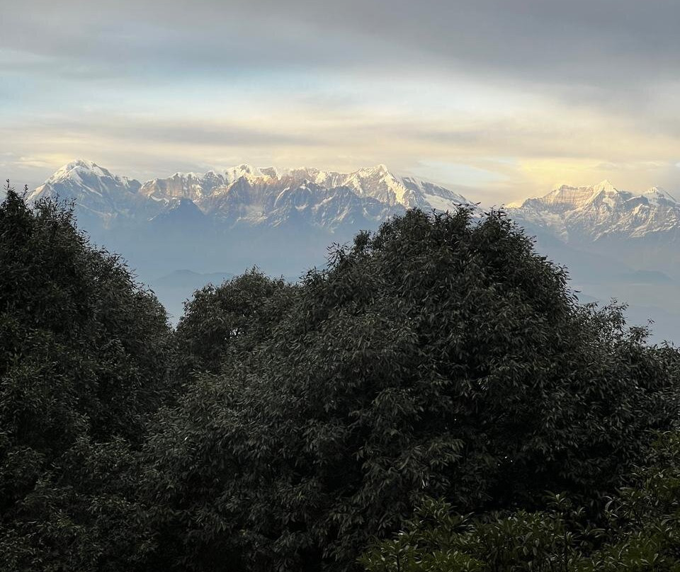 Nine Furlongs, Binsar Wildlife Sanctuary主图