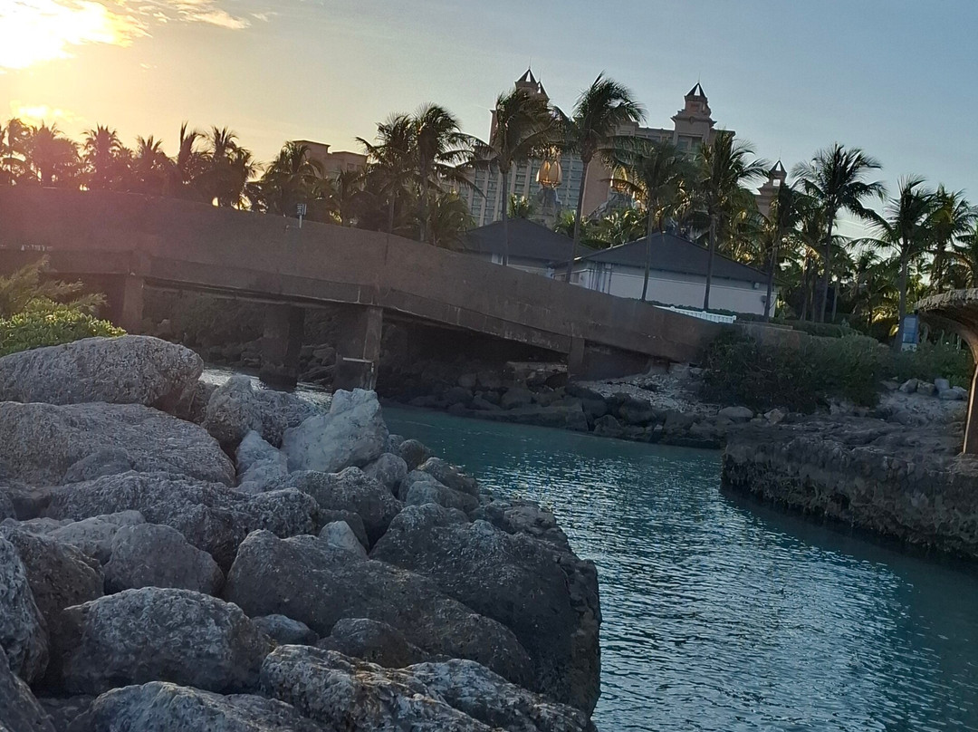 Cabbage Beach Viewpoint Steps-天堂岛必去景点