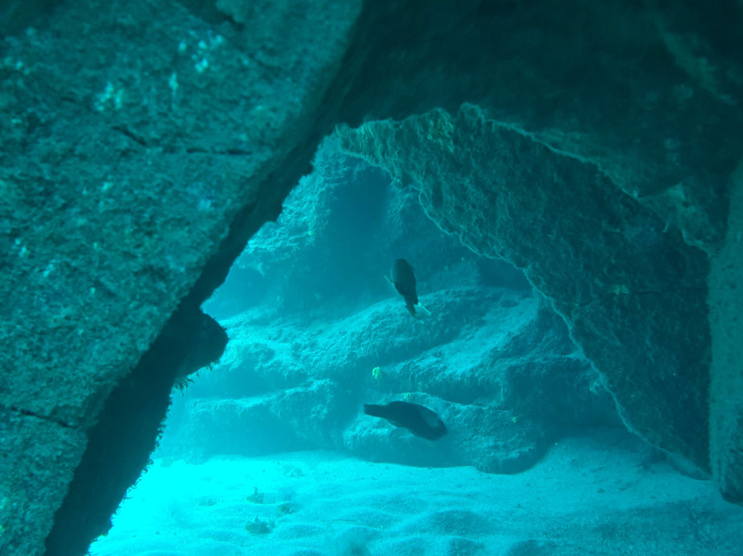 Puerto Rico Diving-波多黎各必去景点