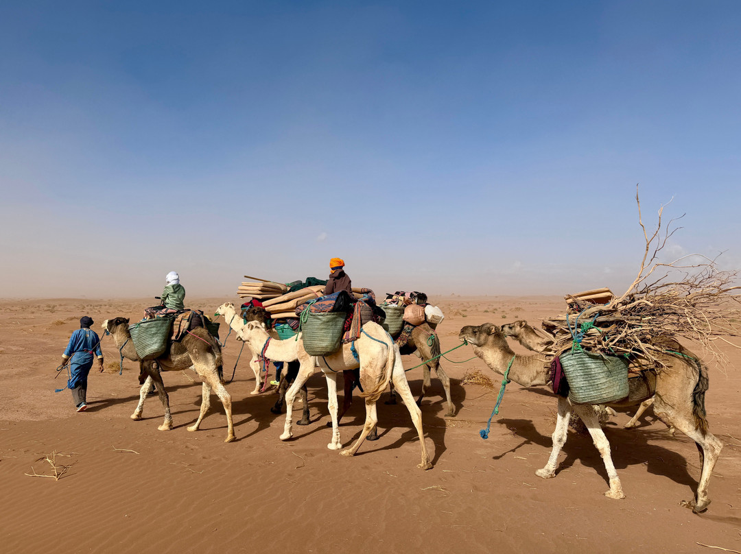 Mélodie du désert-迈哈米德必去景点