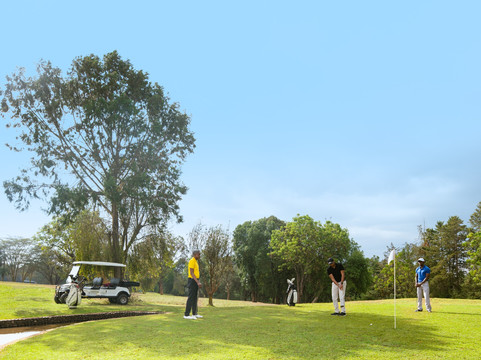 Mezznan Tours & Travel