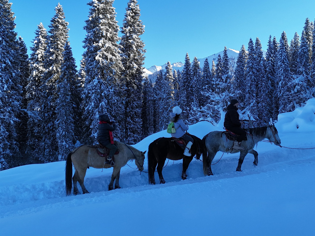 Xinjiang Heart Meadow-伊宁县必去景点