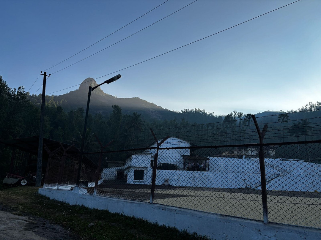 Bettadamalali Estate Homestay主图