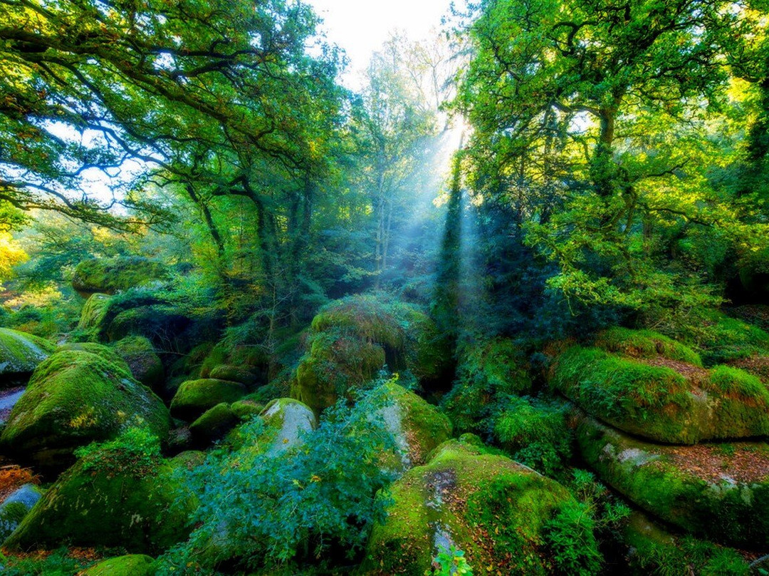 Foret de Huelgoat-Huelgoat必去景点