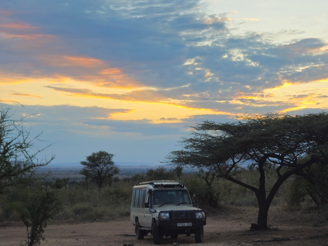 Zara Tanzania Adventures-莫西必去景点