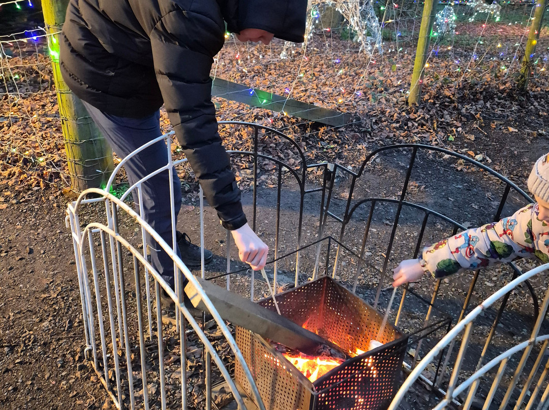 Holmside Park-Edmondsley必去景点