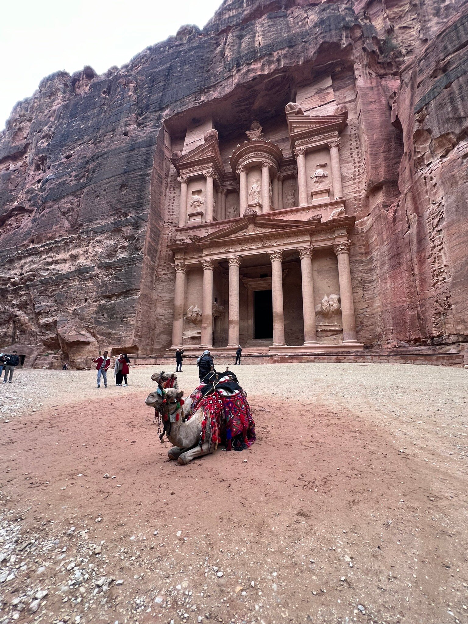 佩特拉月亮酒店-官方